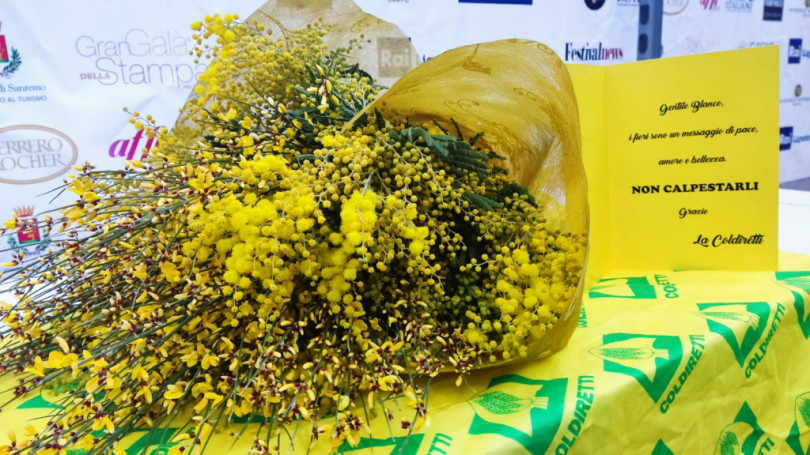 «Gentile Blanco, i fiori sono un messaggio di pace, amore e bellezza. Non calpestarli. Grazie»